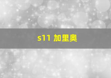 s11 加里奥